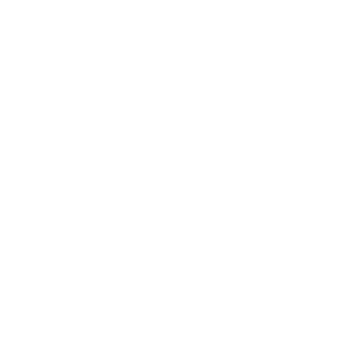 Christian Warrior Foundation Logo